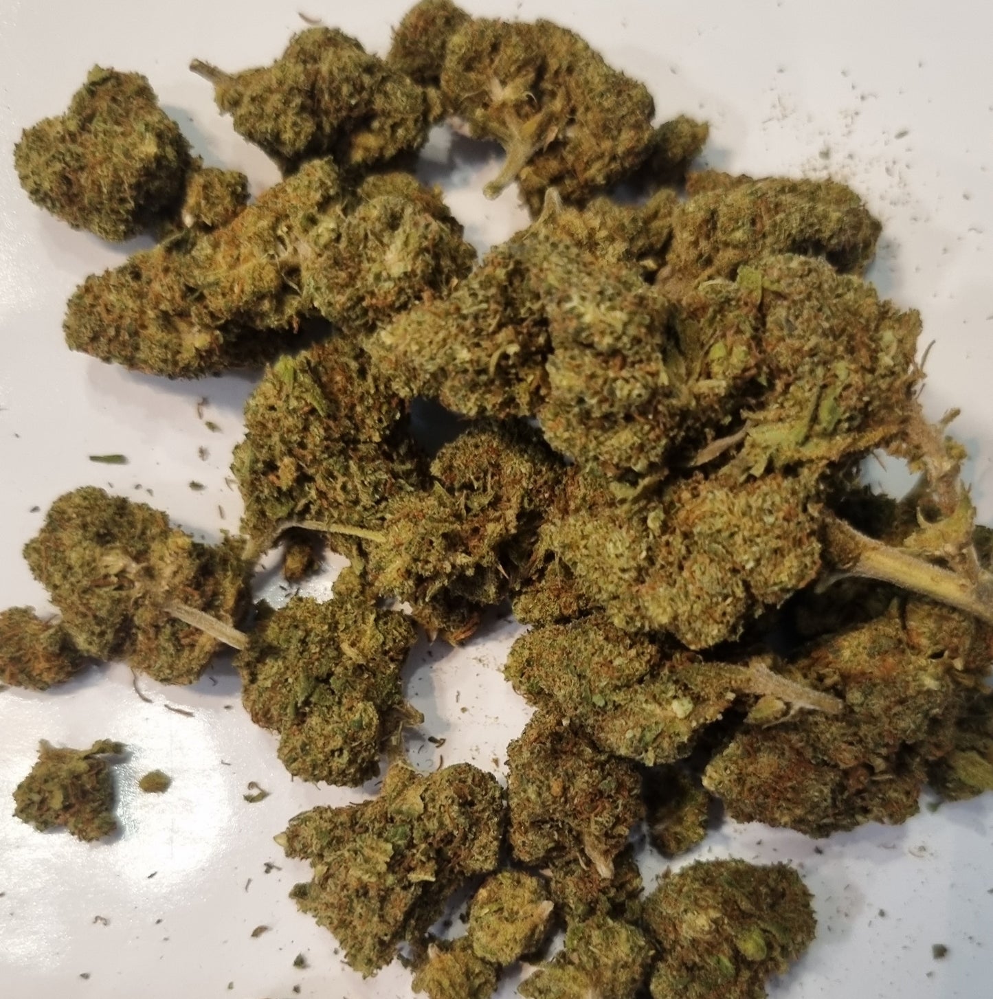 Fleurs de CBD - Fruit Berry CBD « glass house »