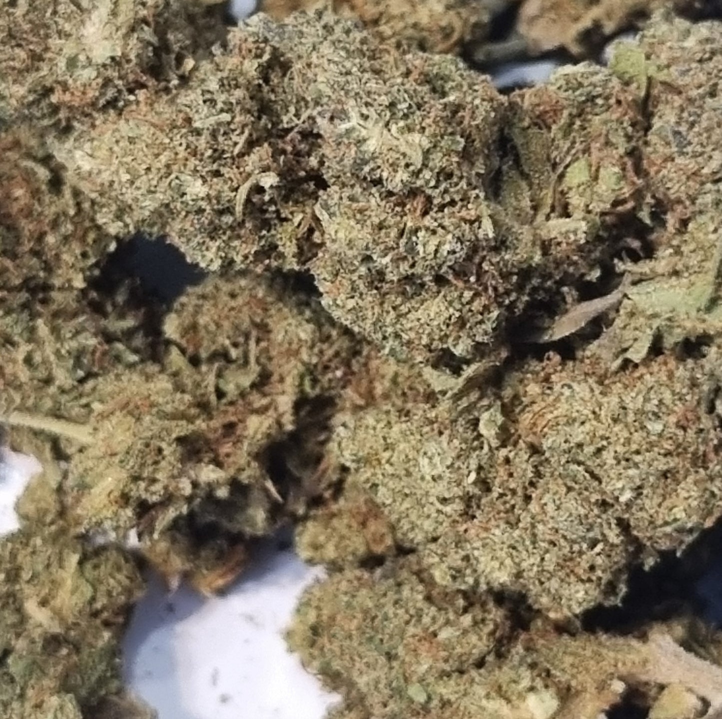 Fleurs de CBD - Fruit Berry CBD « glass house »