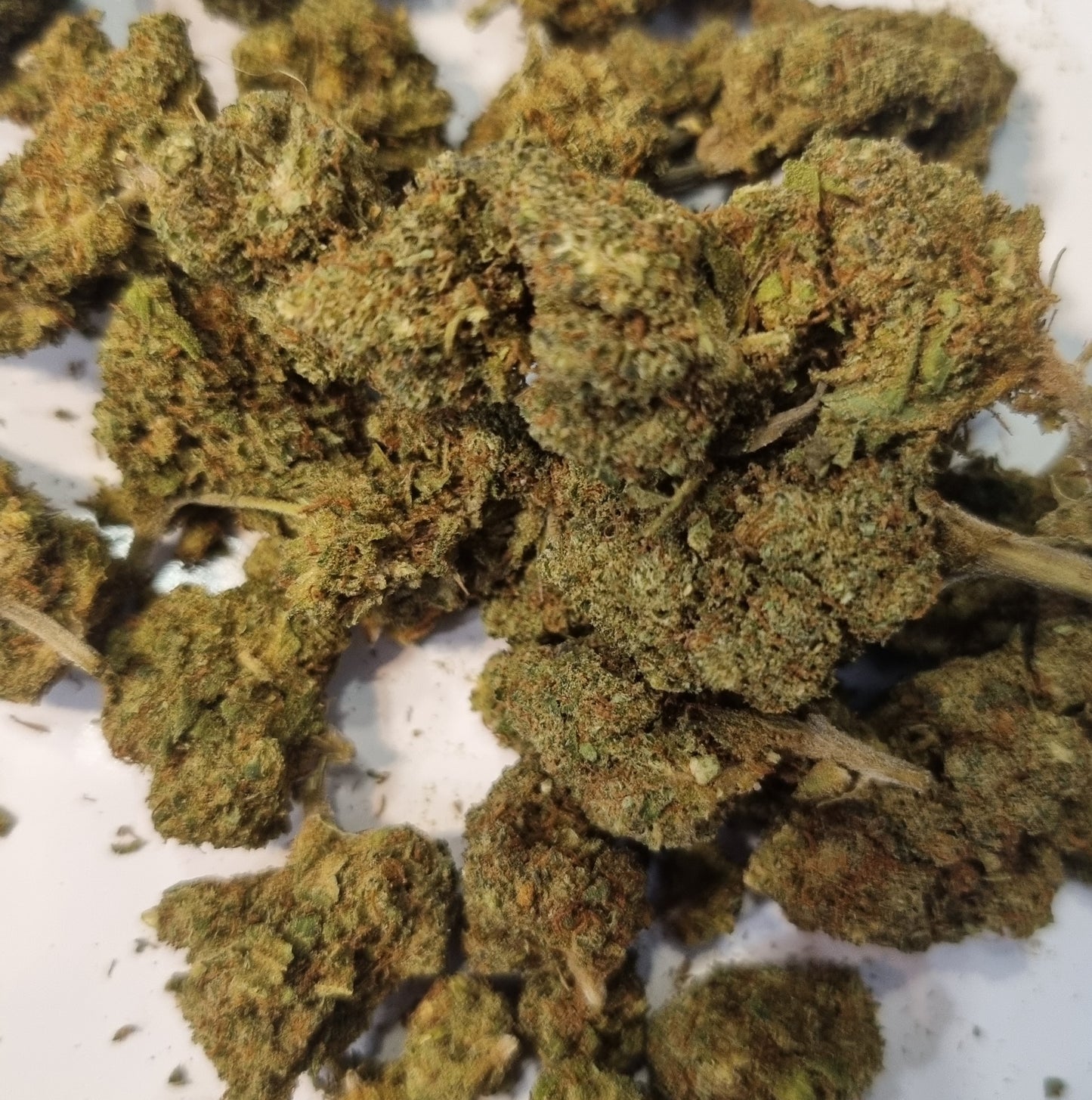 Fleurs de CBD - Fruit Berry CBD « glass house »