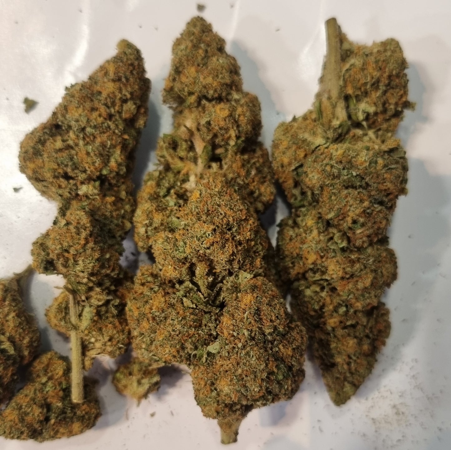 Fleurs CBD - Gorilla mandarine « indoor »