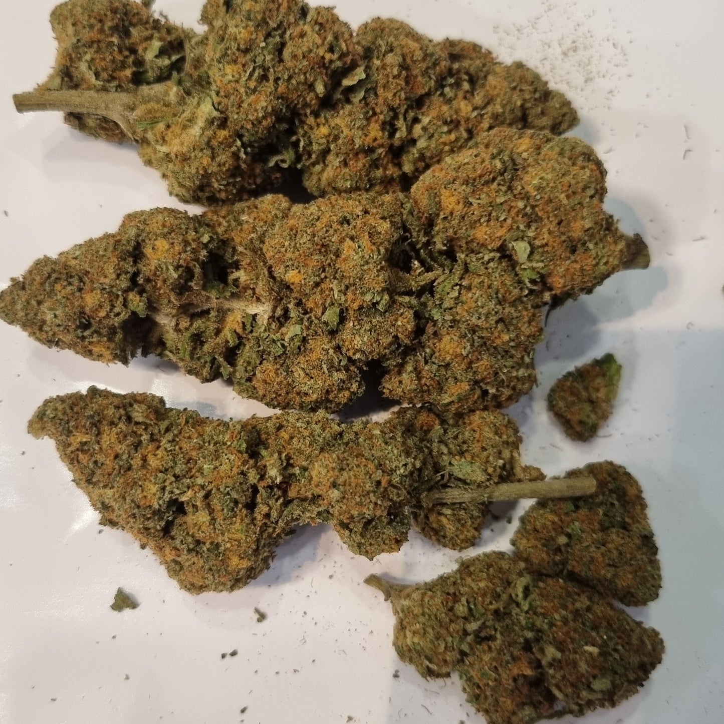 Fleurs CBD - Gorilla mandarine « indoor »