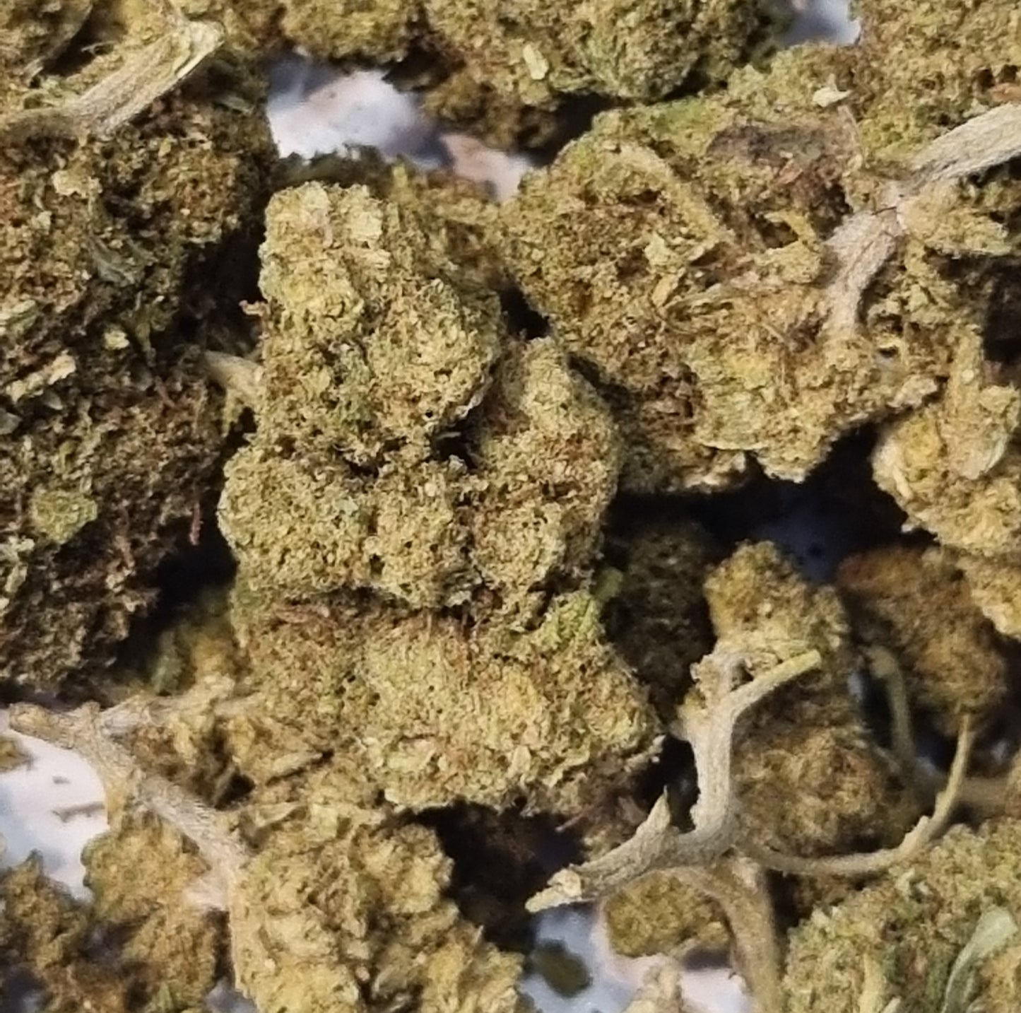 Fleurs CBD - Fruit cake « glass house »