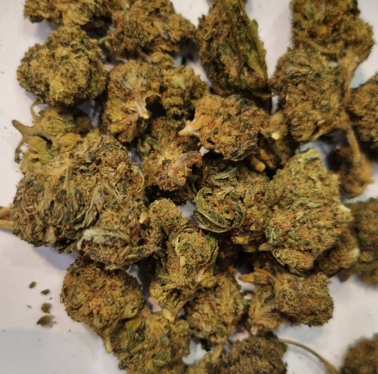 Fleurs CBD - Cali kush "HE"