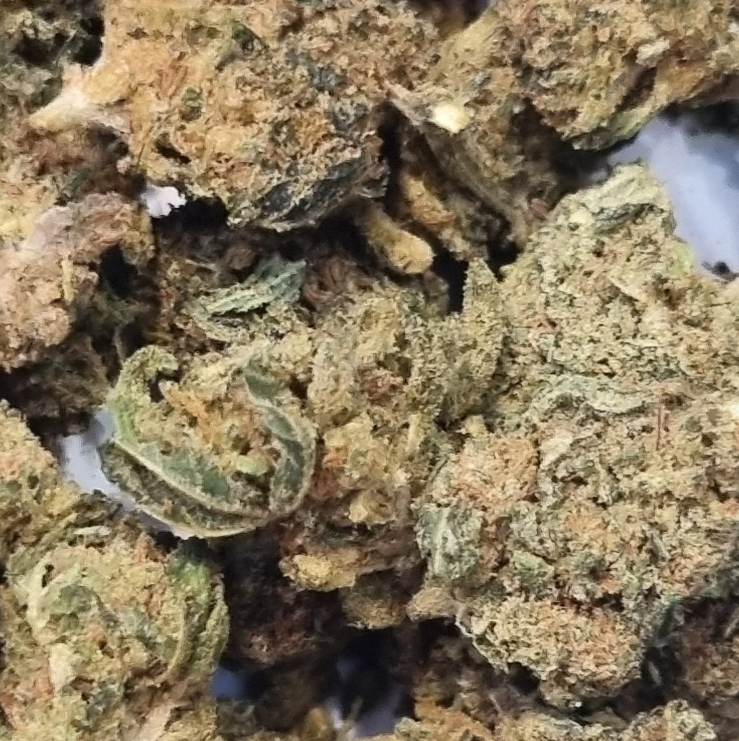 Fleurs CBD - Cali kush "HE"