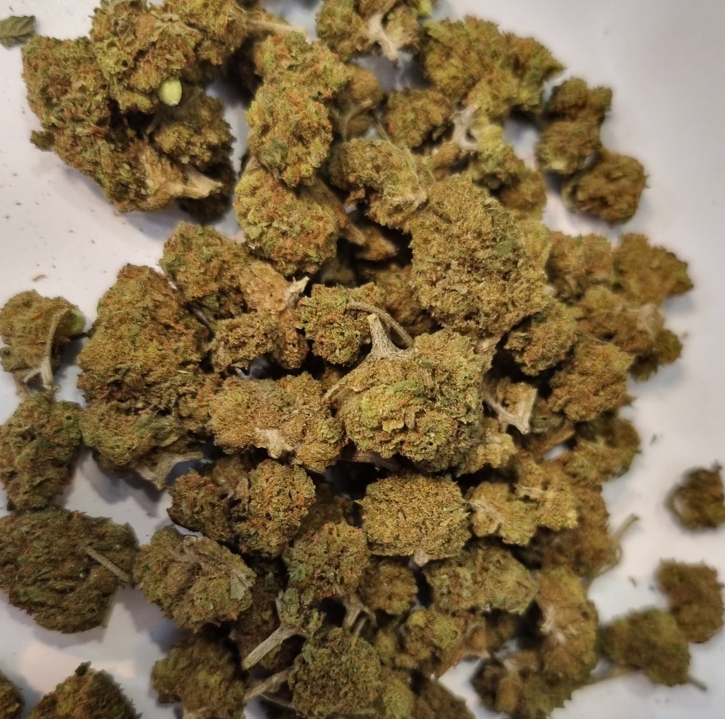 FLEUR CBD - Blueberry « green house » - Small bud