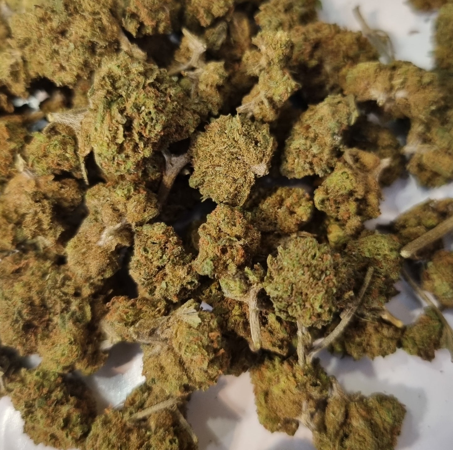 FLEUR CBD - Blueberry « green house » - Small bud