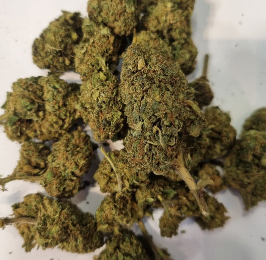 Fleurs White widow - CBX - Jack CBD