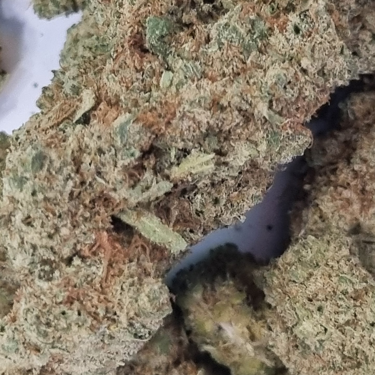 FLEUR CBD - Wedding Cake