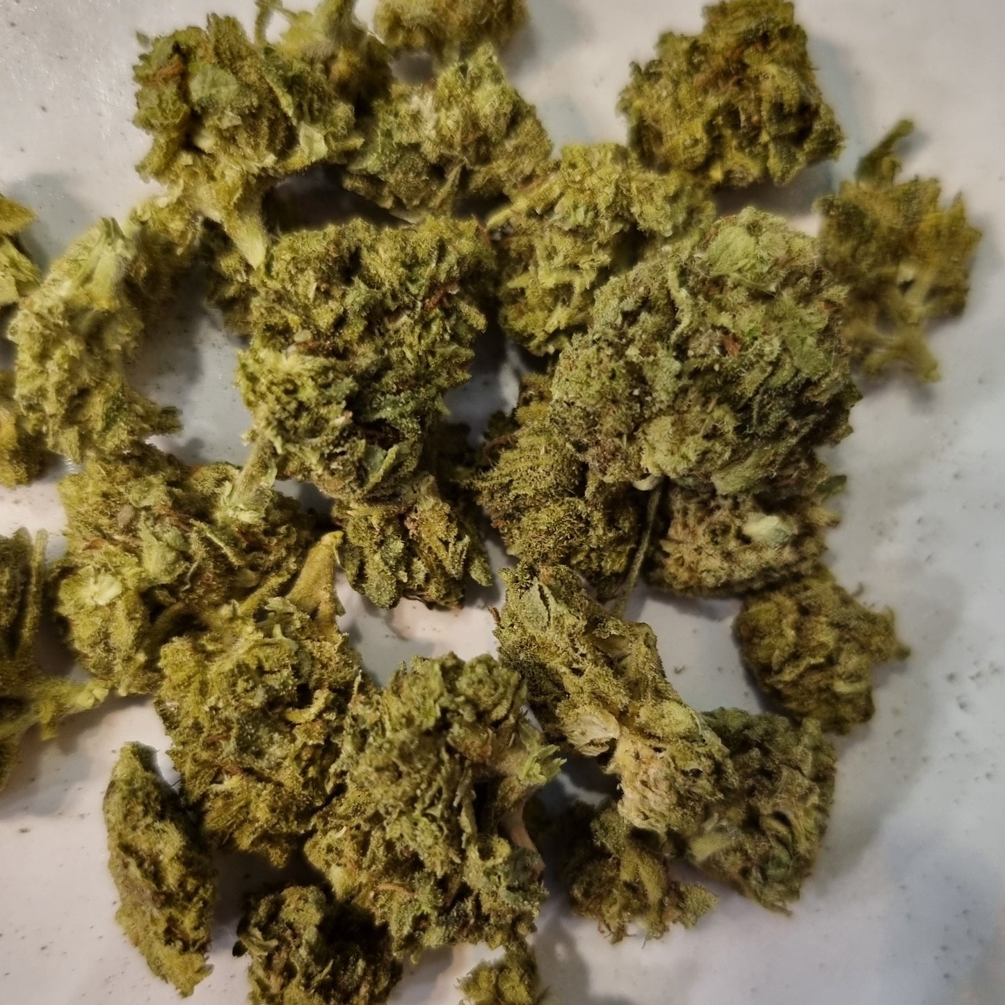 Fleurs CBD - Hybride LEMON/BUBBLE "sb indoor"