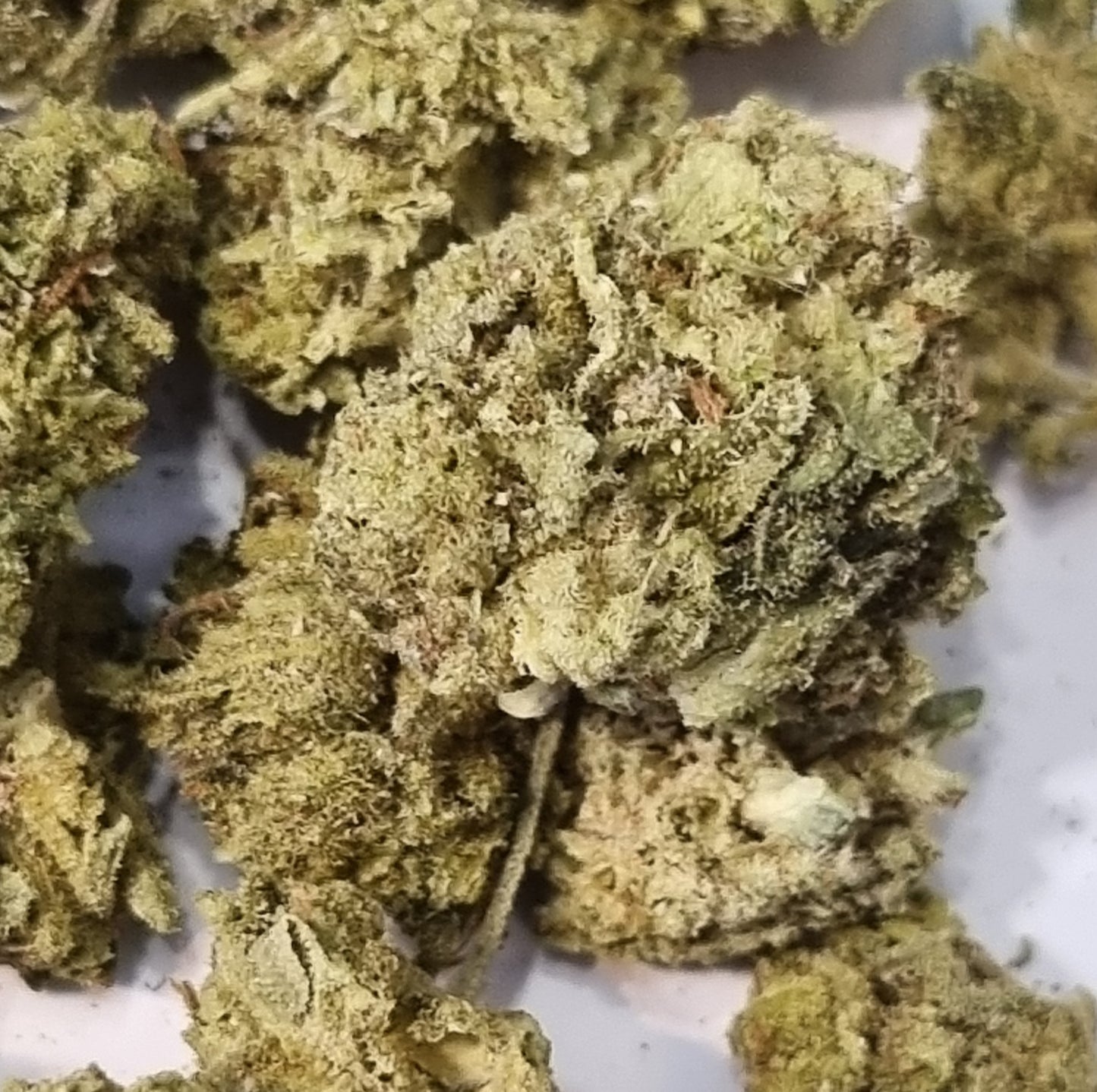 Fleurs CBD - Hybride LEMON/BUBBLE "sb indoor"