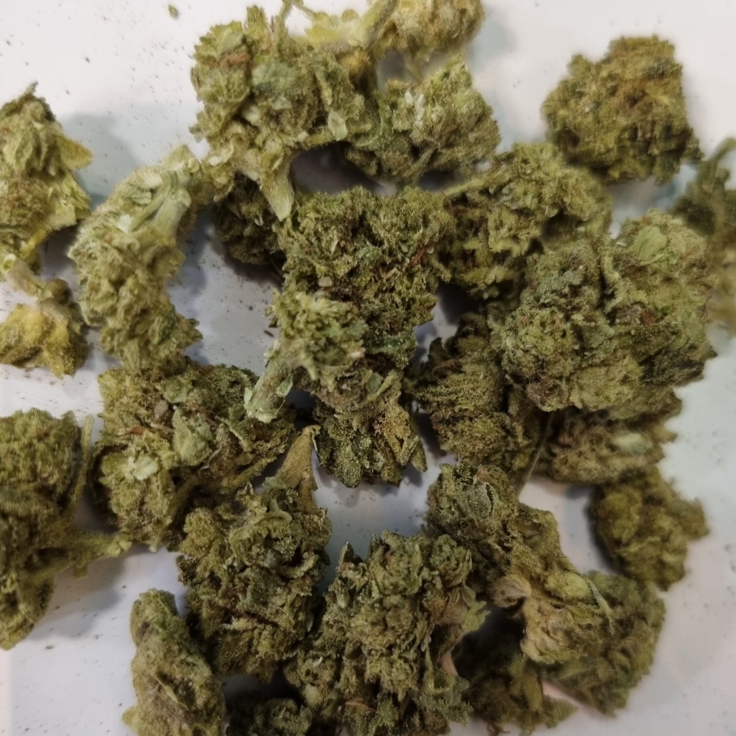 Fleurs CBD - Hybride LEMON/BUBBLE "sb indoor"