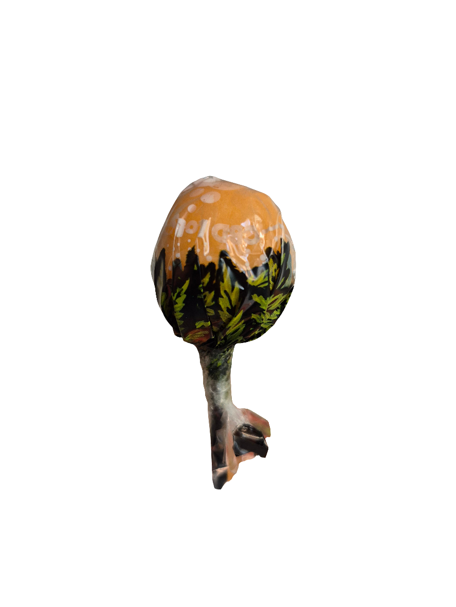 BUBBLY BILLY - SUCETTE AU CBD ET AU CHEWING-GUM" PÊCHE ACIDULÉE " 10mg CBD- 20% CBD