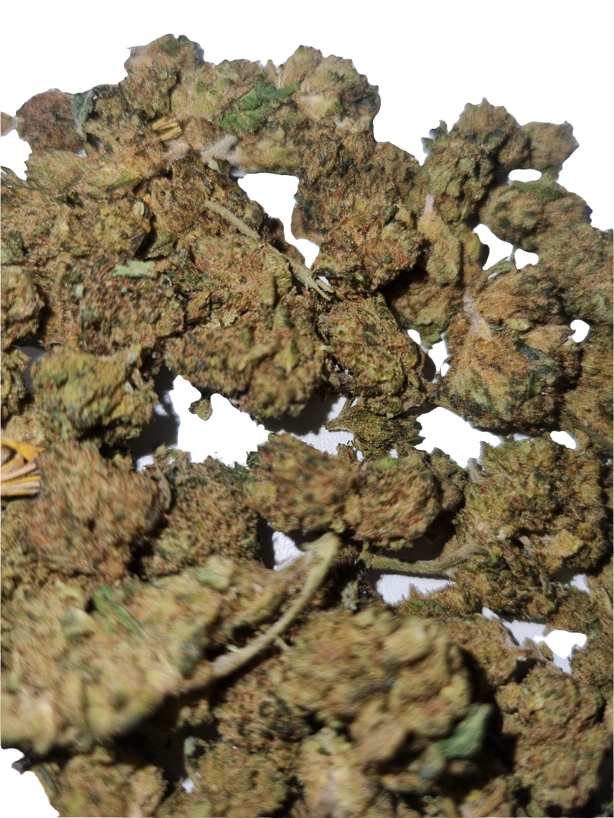 Fleurs CBD - Harlequin "HE"