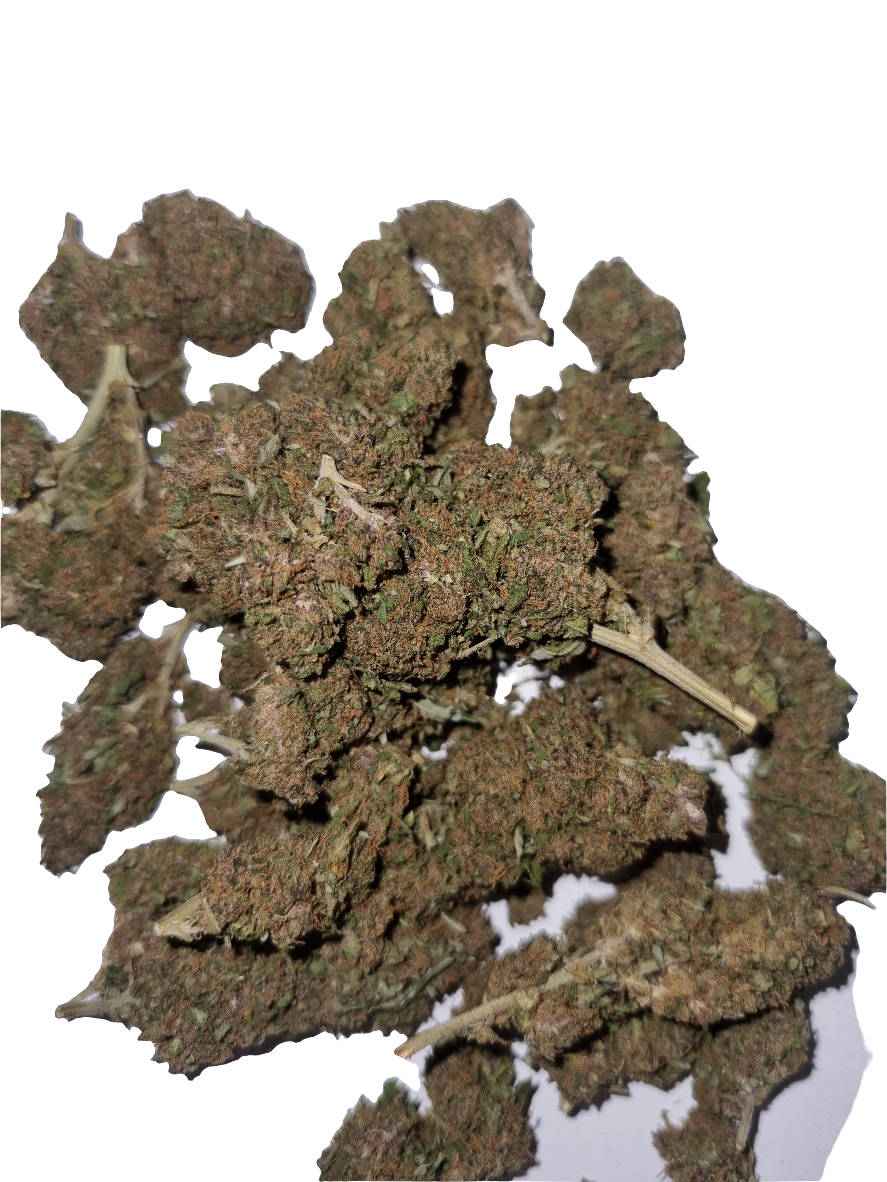 Fleurs CBD - Super Lemon