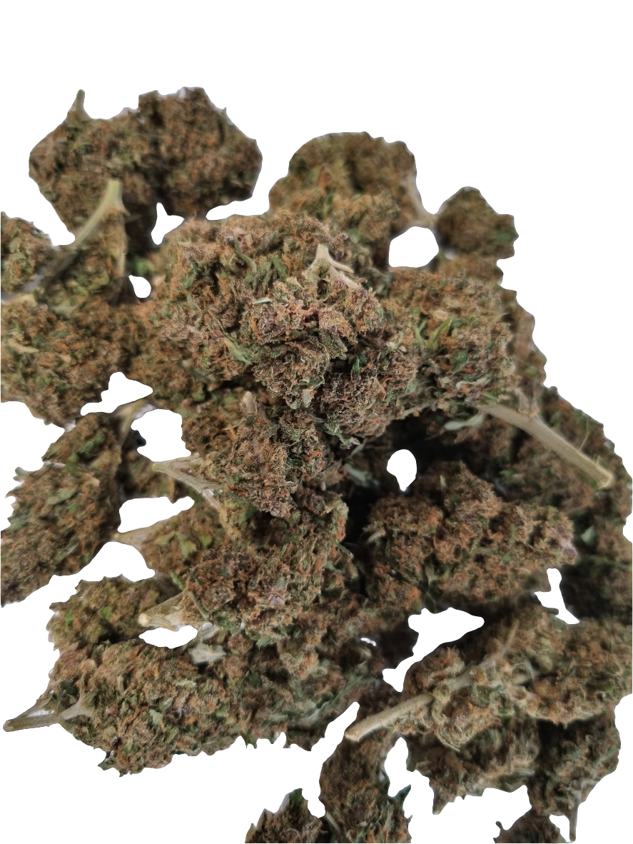 Fleurs CBD - super lemon - green house - pas cher