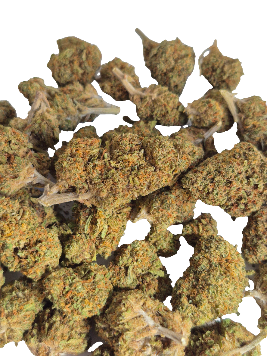 FLEUR CBD - Blueberry Indoor