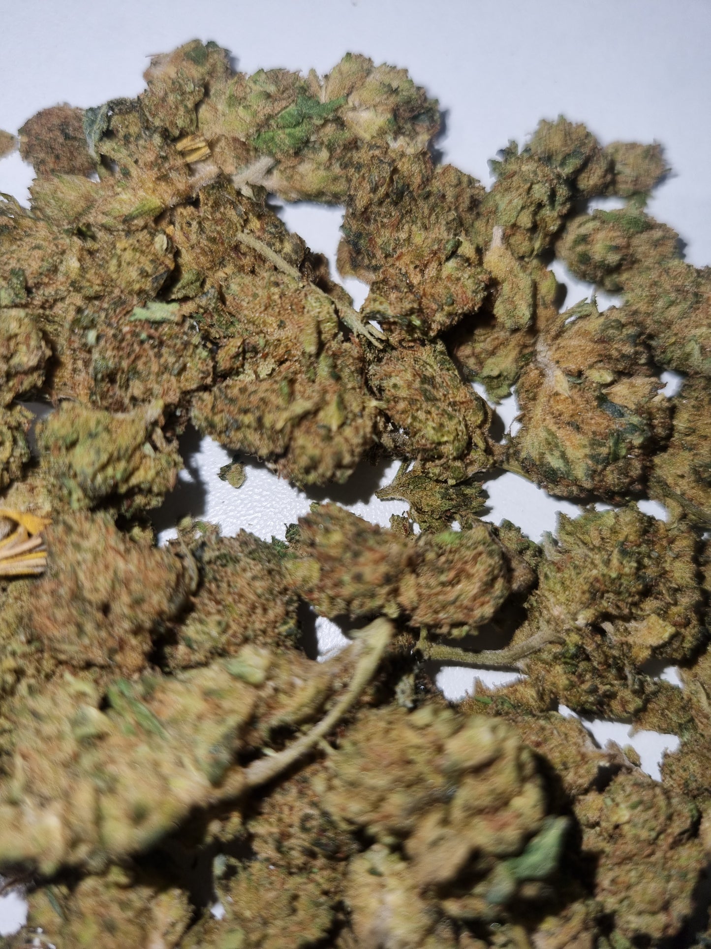Fleurs CBD - Harlequin "HE"