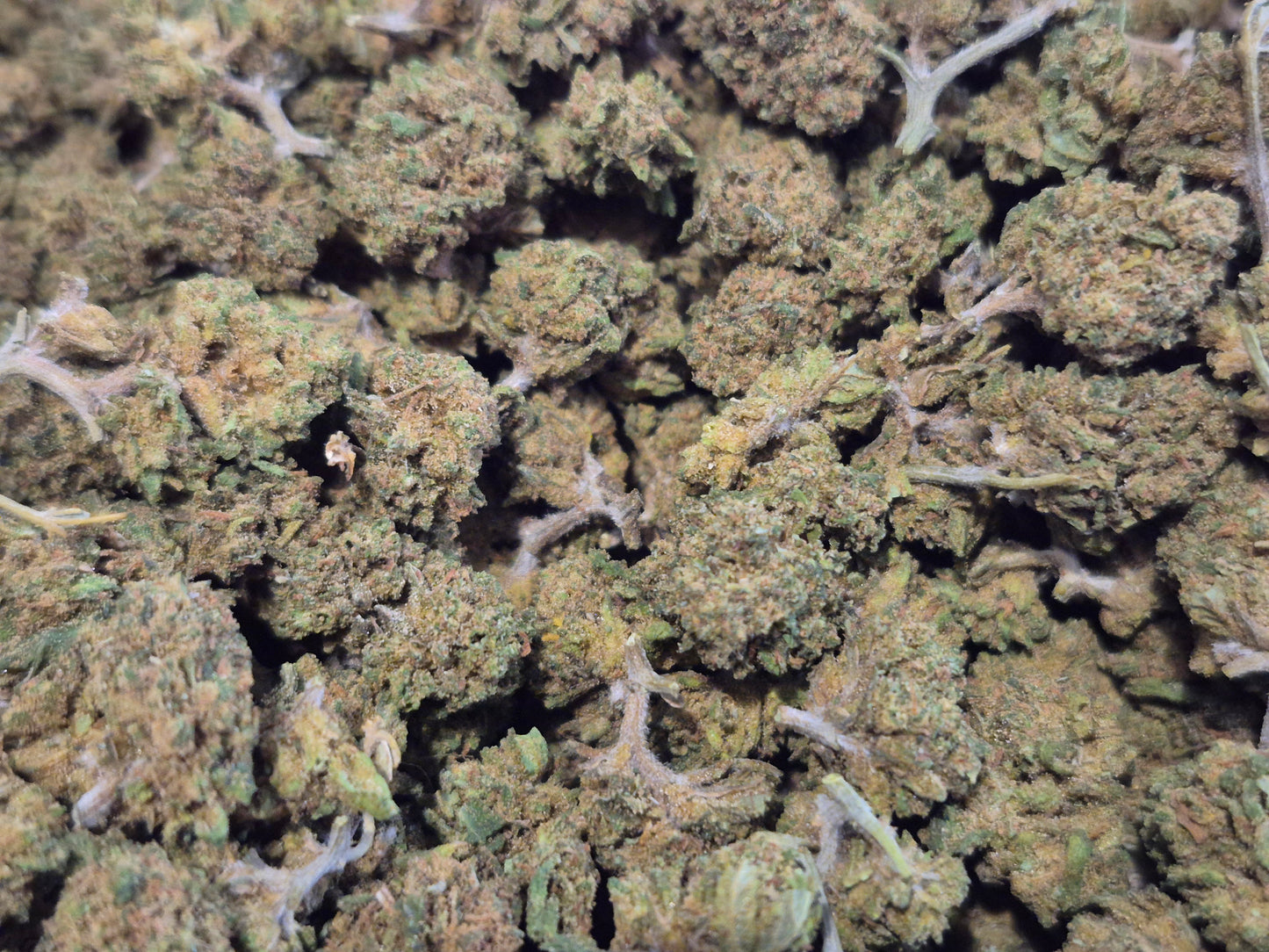 FLEURS CBD - SMALL BUD - LEMON - GLASS HOUSE