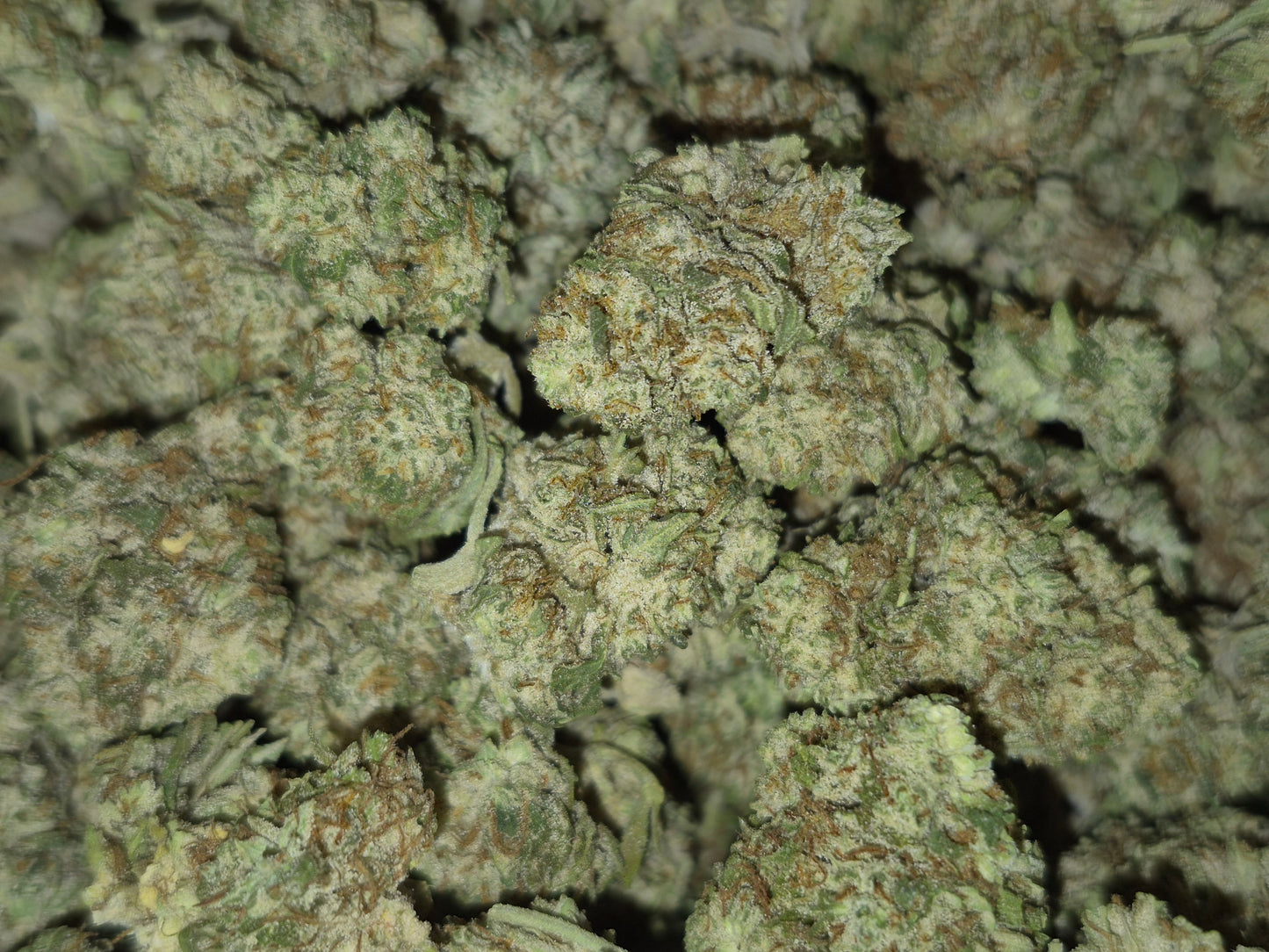 🇺🇸FLEURS CBD- 15% CBG - USA - FIVE STAR 🇺🇸