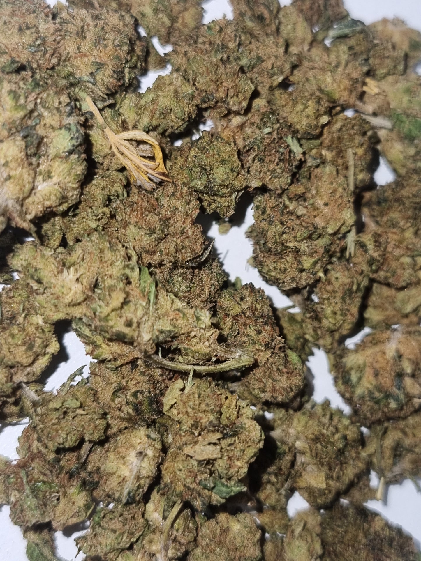 Fleurs CBD - Harlequin "HE"