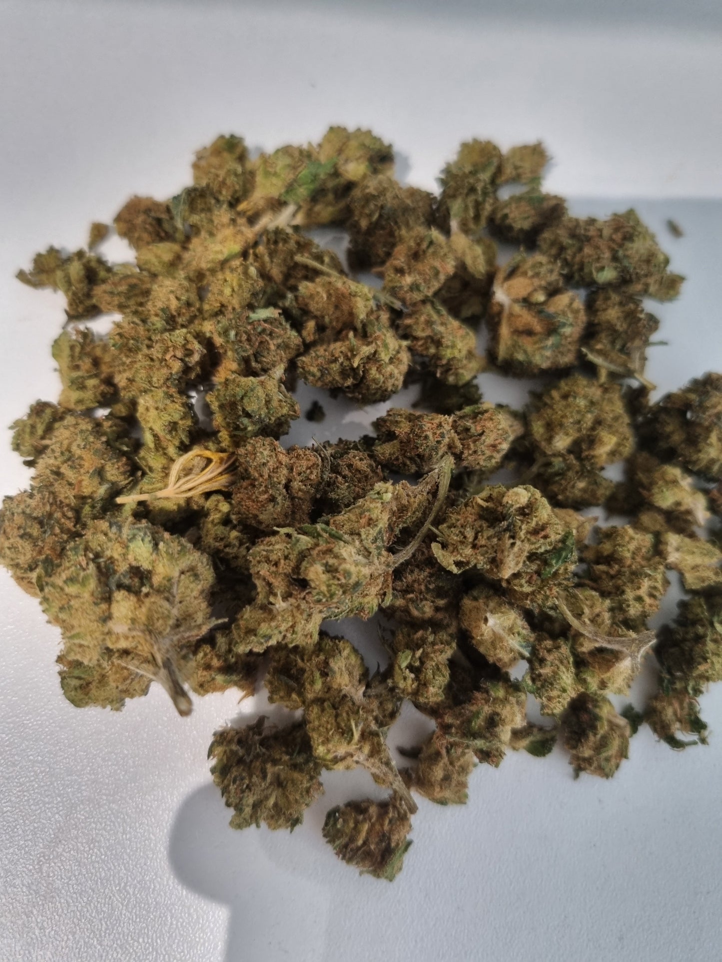 Fleurs CBD - Harlequin "HE"