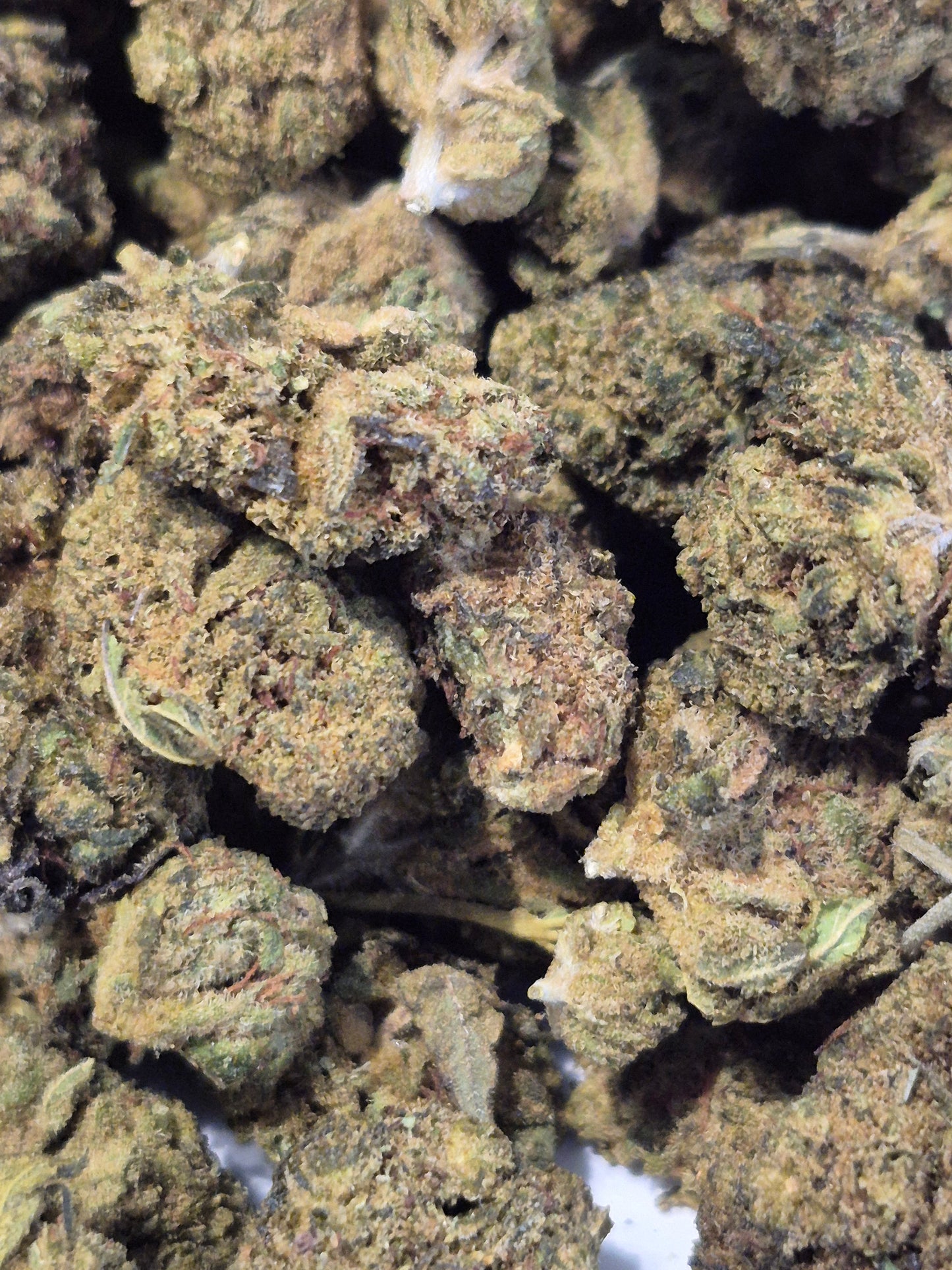 CBD Forbidden Fruit CBX - Fleur Premium & Arômes Exotiques - Jack CBD