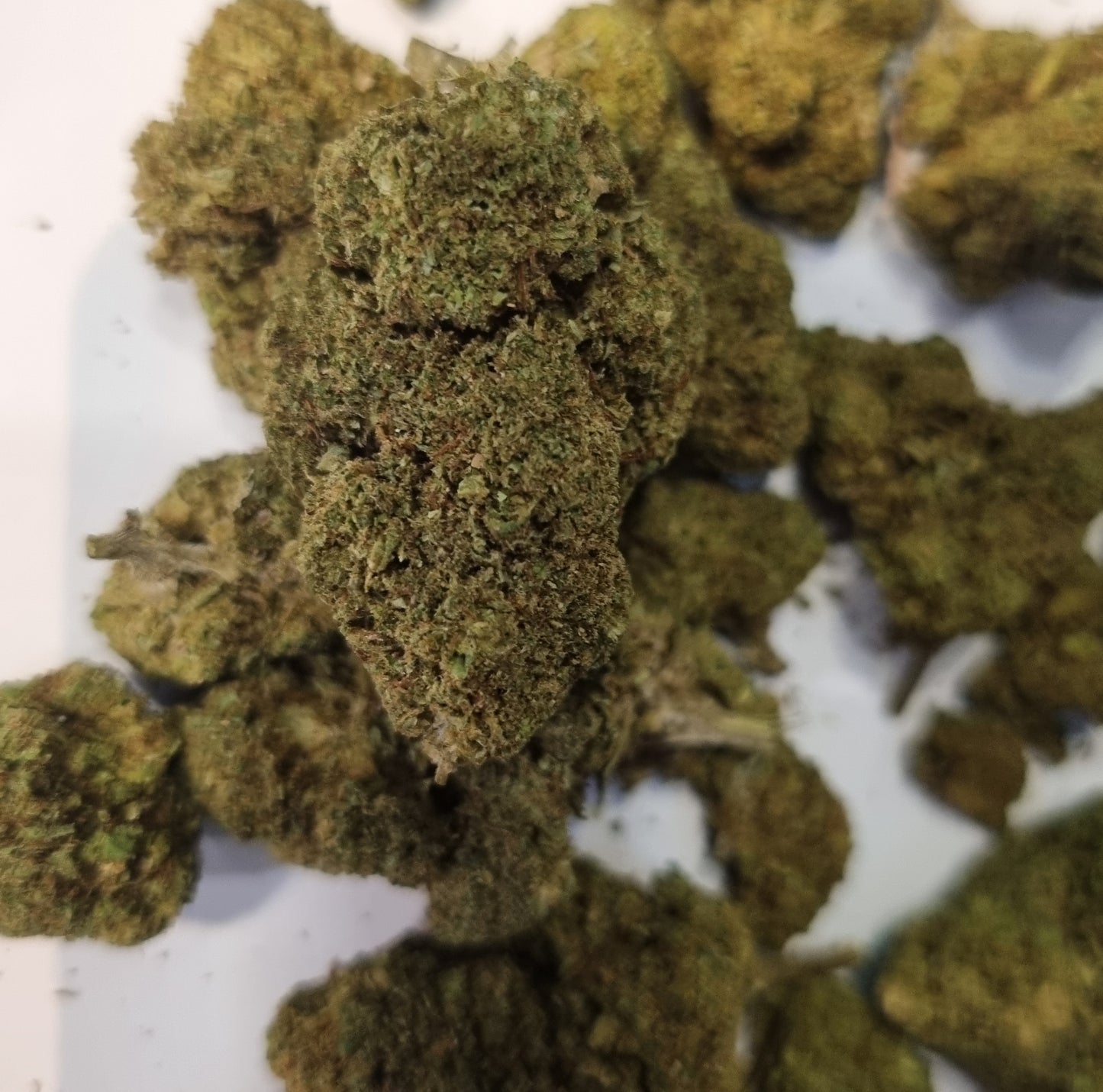 Fleurs CBD - White widow - Indoor