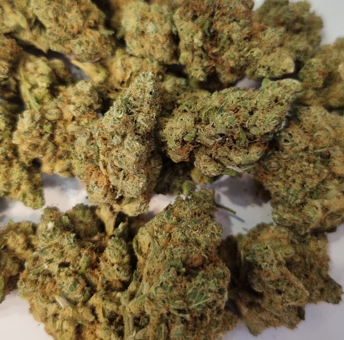 Fleurs de CBD - Jungle cake Ice Cream « indoor »