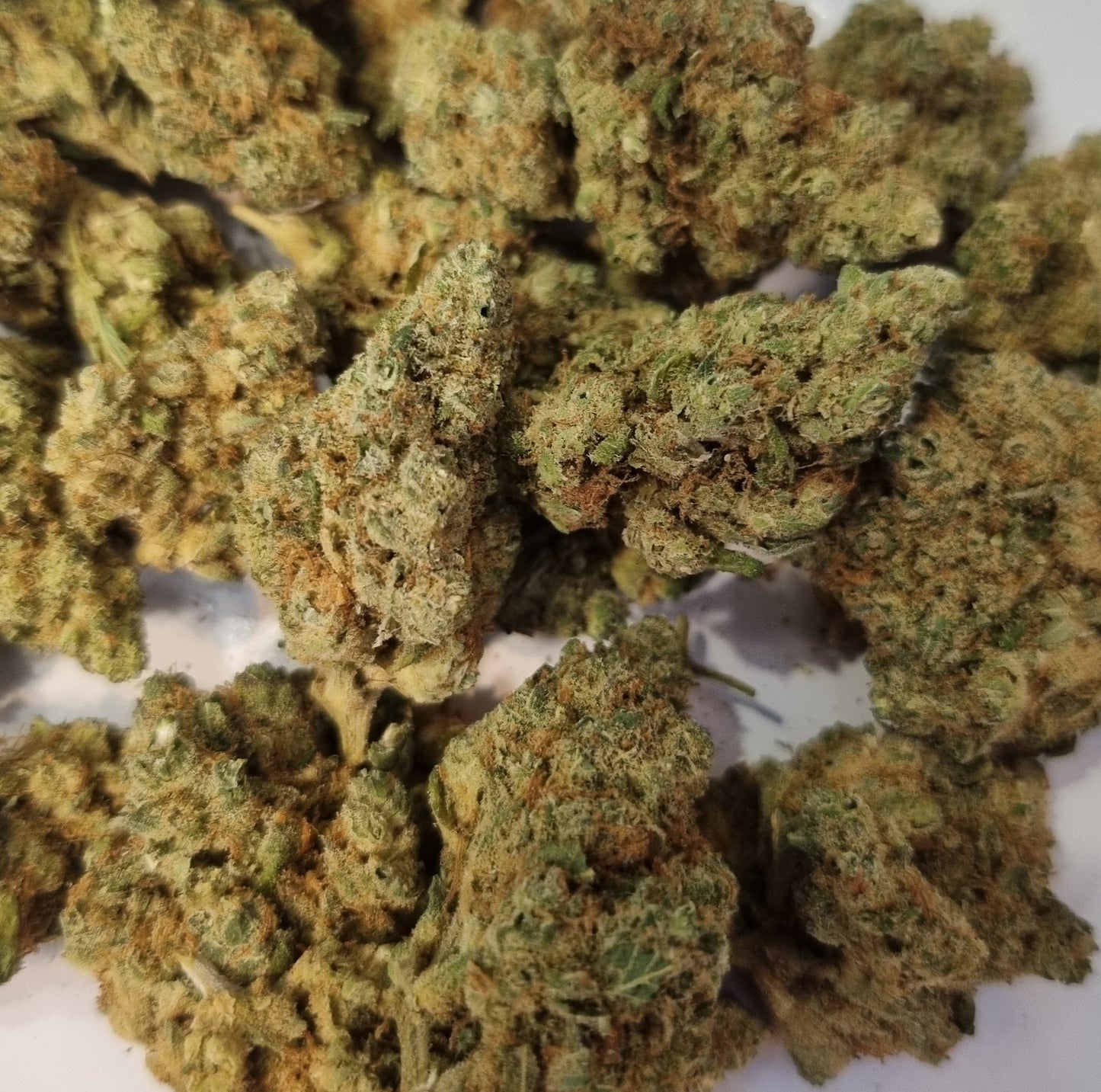 Fleurs CBD - Jack herrer « glass house »