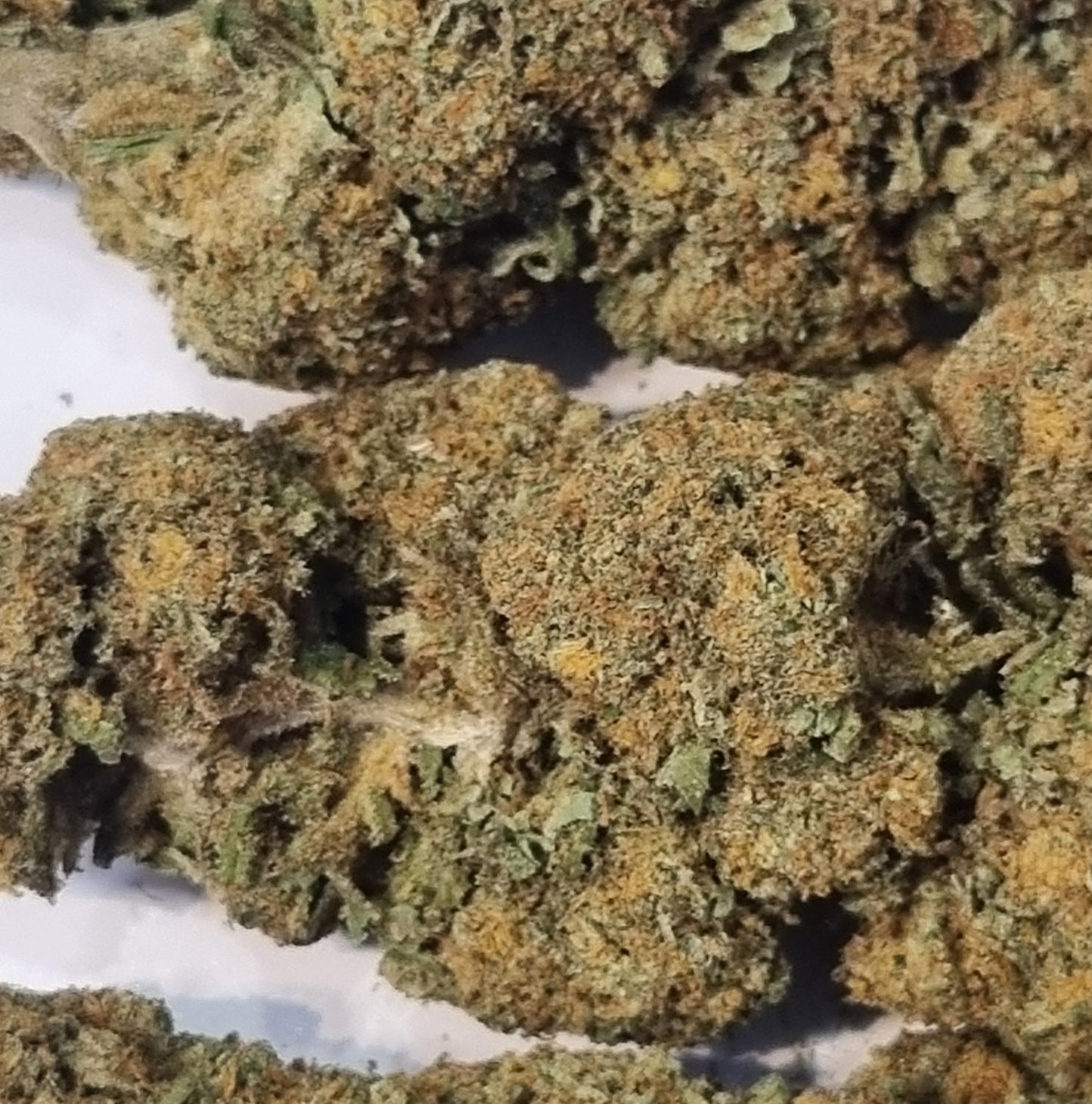 Fleurs CBD - Gorilla mandarine « indoor »