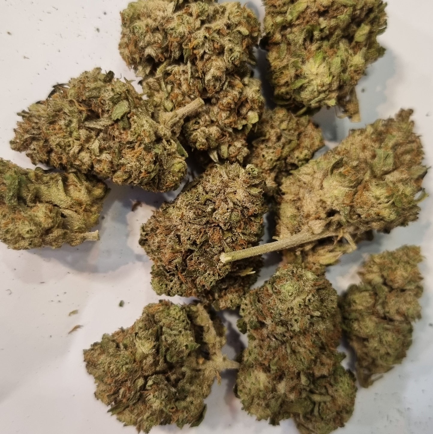 Fleur CBD - Snow White 0% THC - 15% CBG