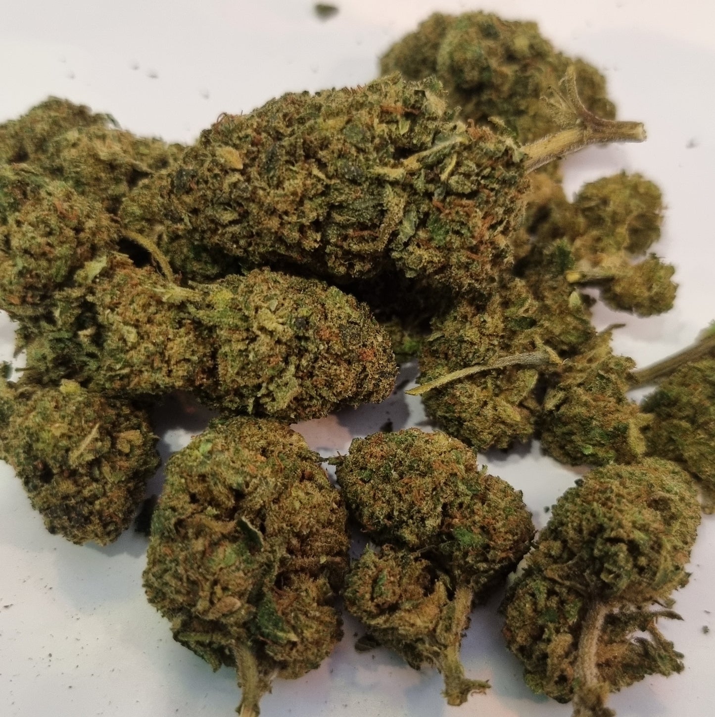 Fleurs White widow - CBX - Jack CBD