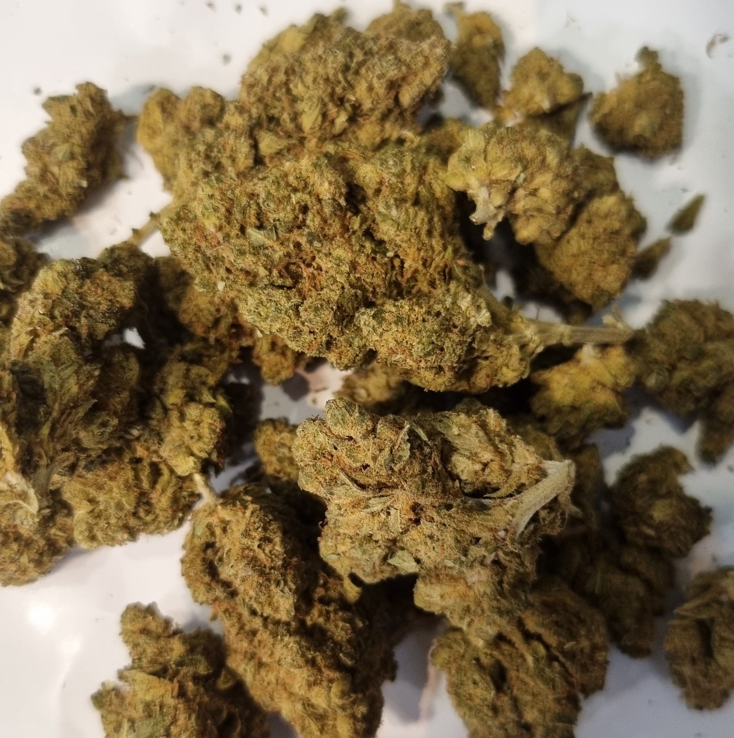 Fleurs de CBD - Jungle cake Ice Cream « indoor »