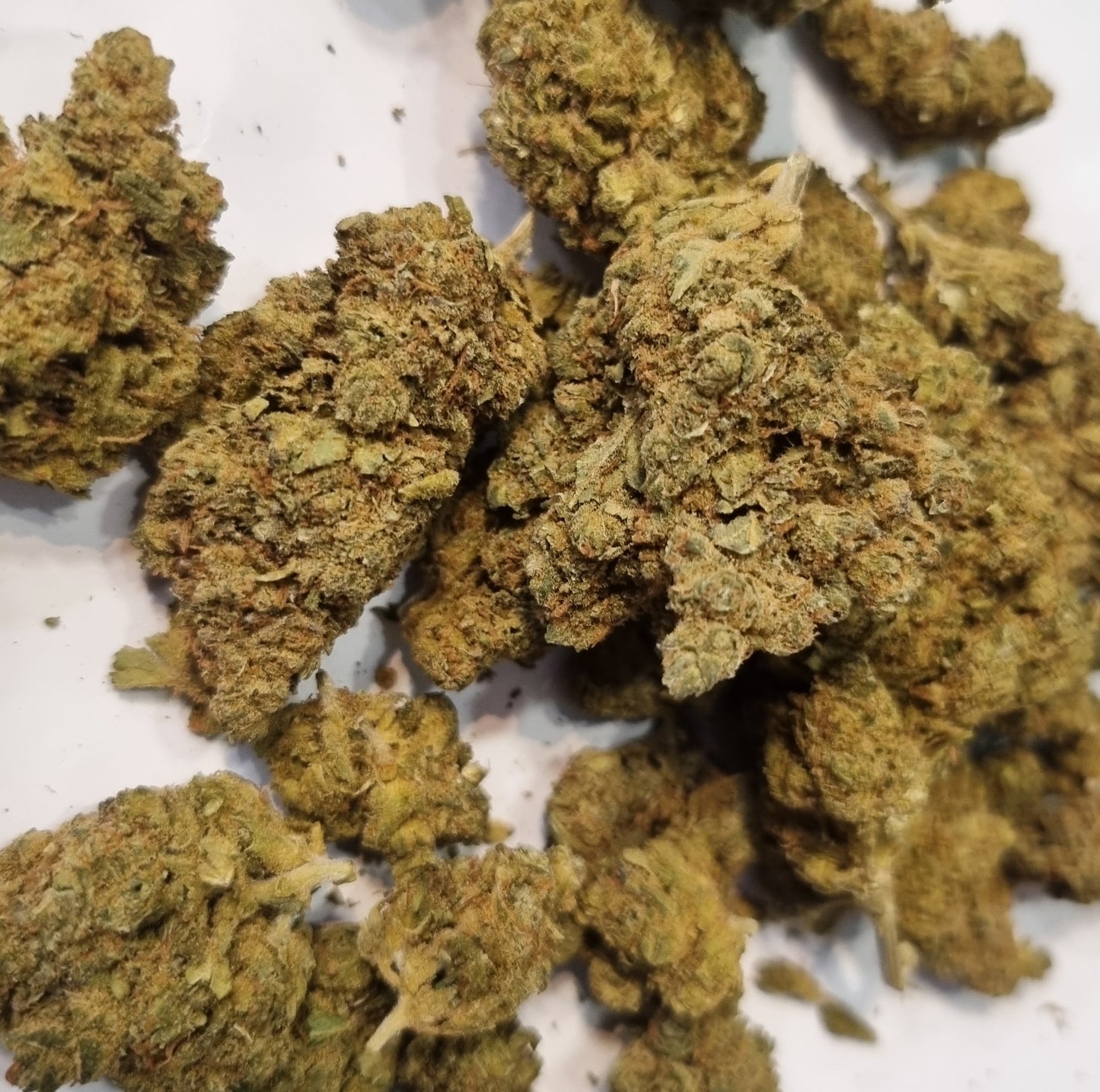 Fleurs de CBD - Jungle cake Ice Cream « indoor »