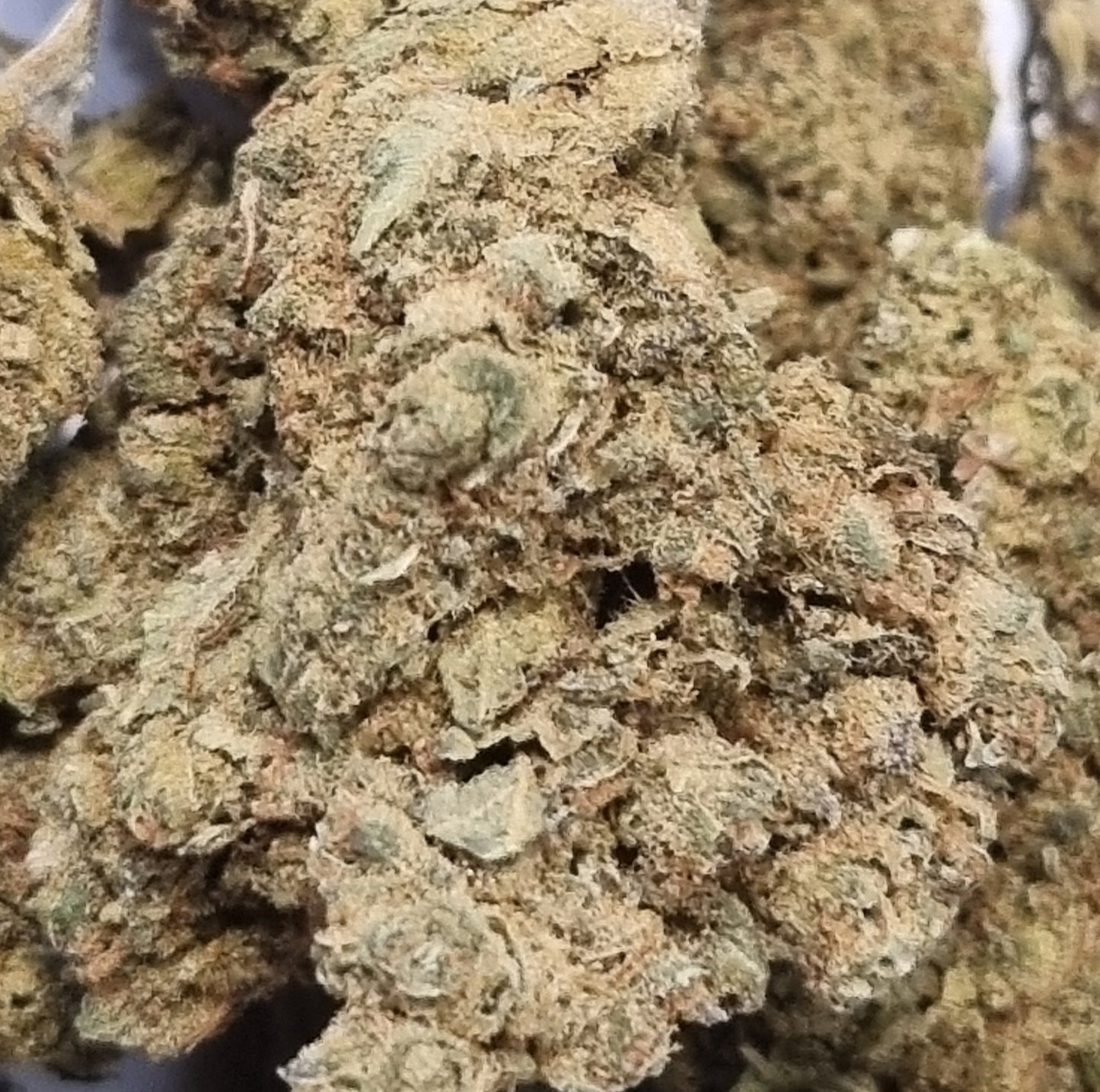 Fleurs de CBD - Jungle cake Ice Cream « indoor »