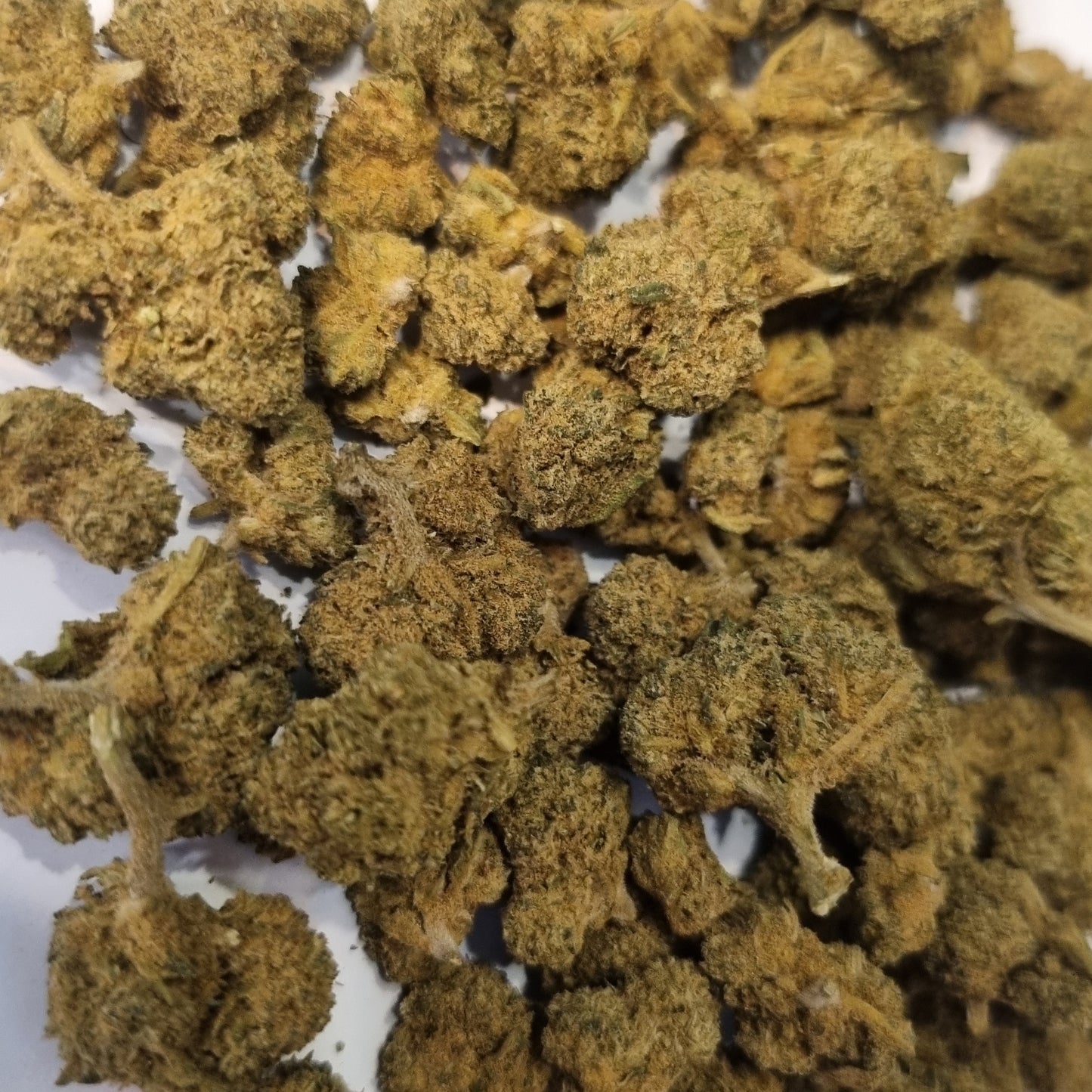 Fleurs CBD - Jack herrer « glass house »