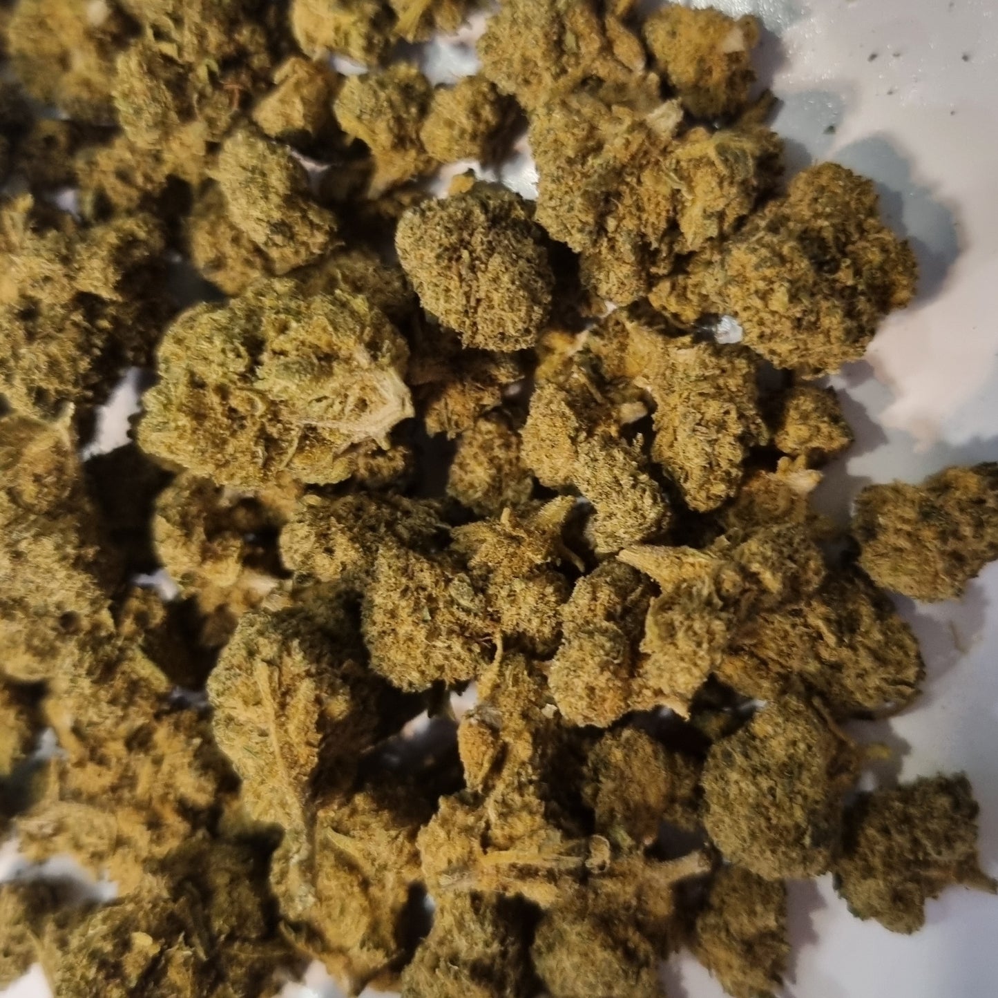 Fleurs CBD - Jack herrer « glass house »