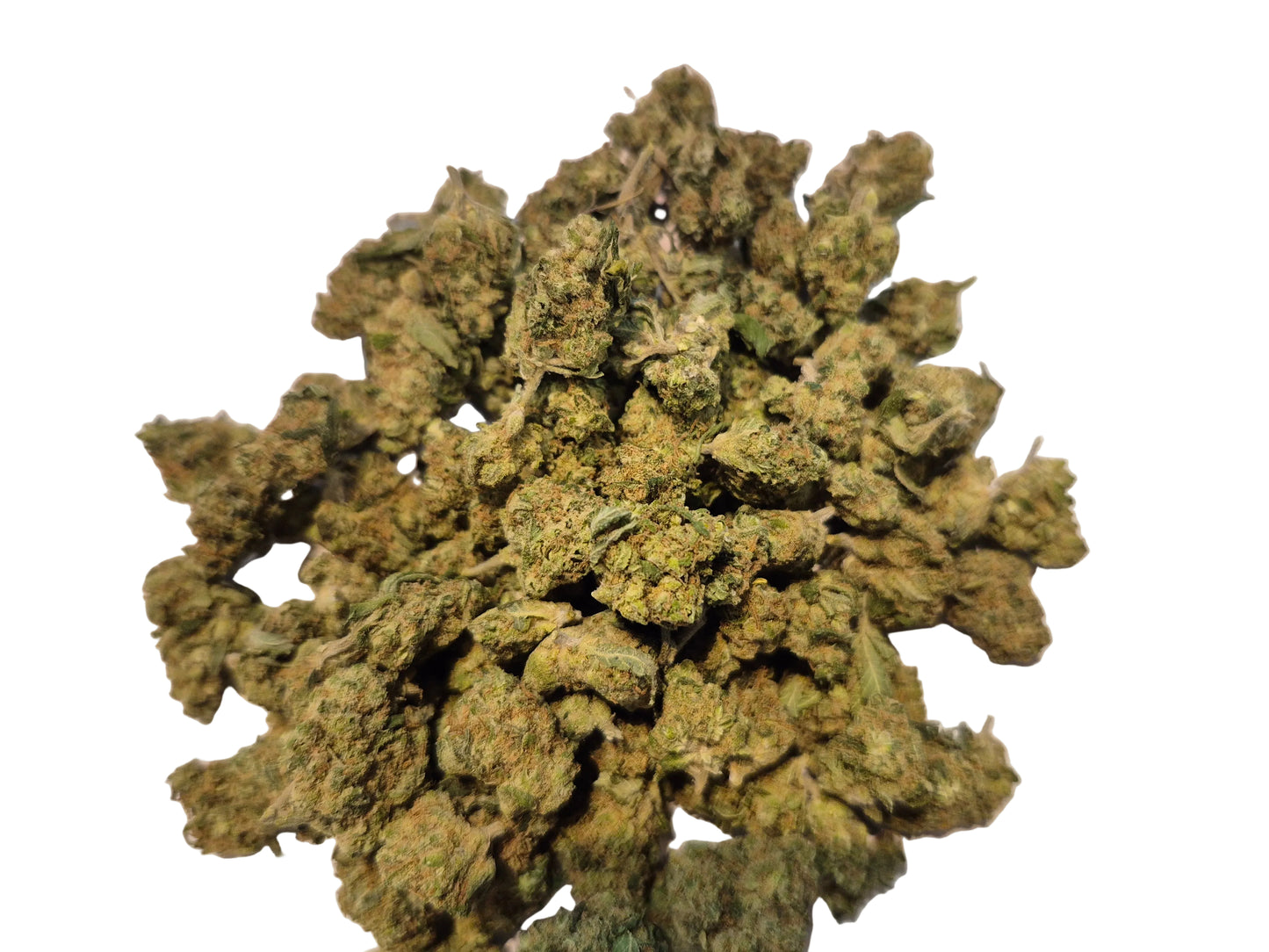 #CBDLeHoulme #CriticalJack #SmallBuds Critical Jack CBD Small Buds – L'excellence Indoor au meilleur prix au Houlme.
Profitez de la puissance de la Critical Jack en version Small Buds. Ces petites fleurs conservent toutes les propriétés aromatiques et les effets de la fleur classique, mais à un tarif plus accessible. Cultivée en Indoor pour une pureté totale, cette variété offre des notes boisées et citronnées intenses.
​Origine : Culture Indoor #CBDIndoor #NormandieCBD #RelativiteVerte