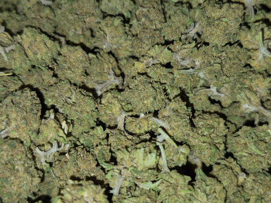FLEURS CBD - SMALL BUD - LEMON - GLASS HOUSE