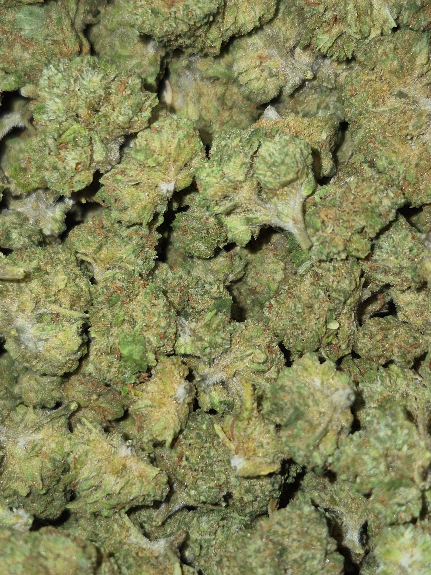 FLEUR CBD - SKITTLES CALI - INDOOR -