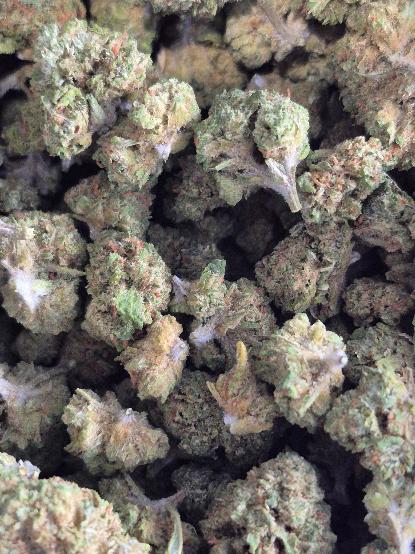 FLEUR CBD - SKITTLES CALI - INDOOR -