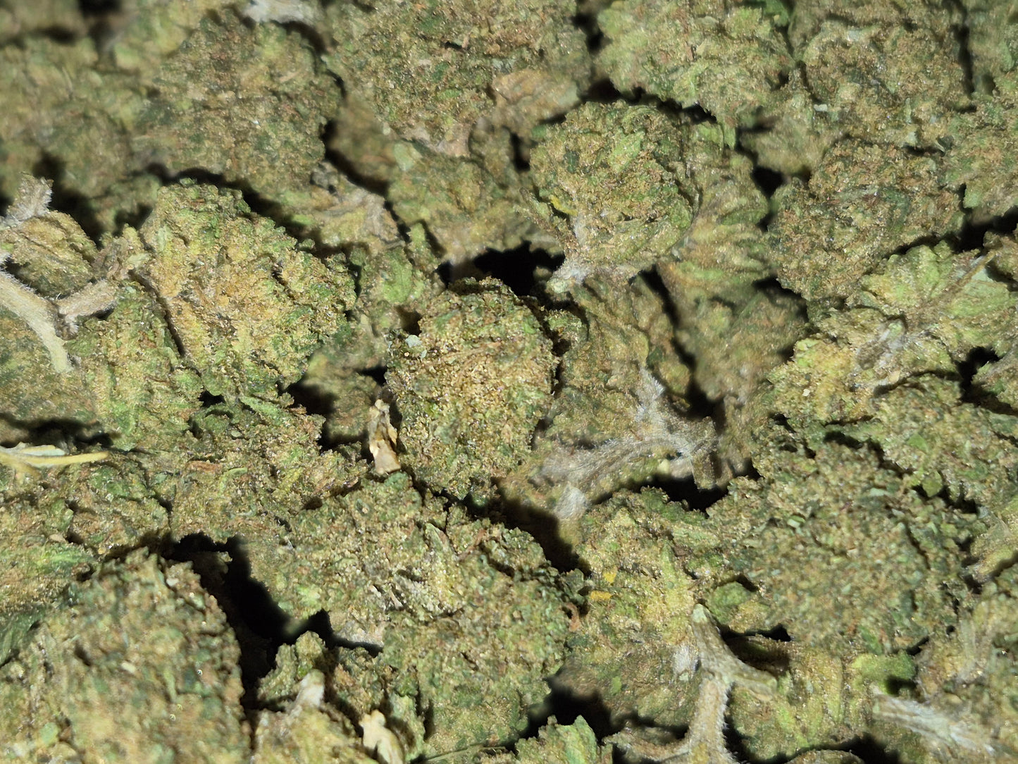 FLEURS CBD - SMALL BUD - LEMON - GLASS HOUSE