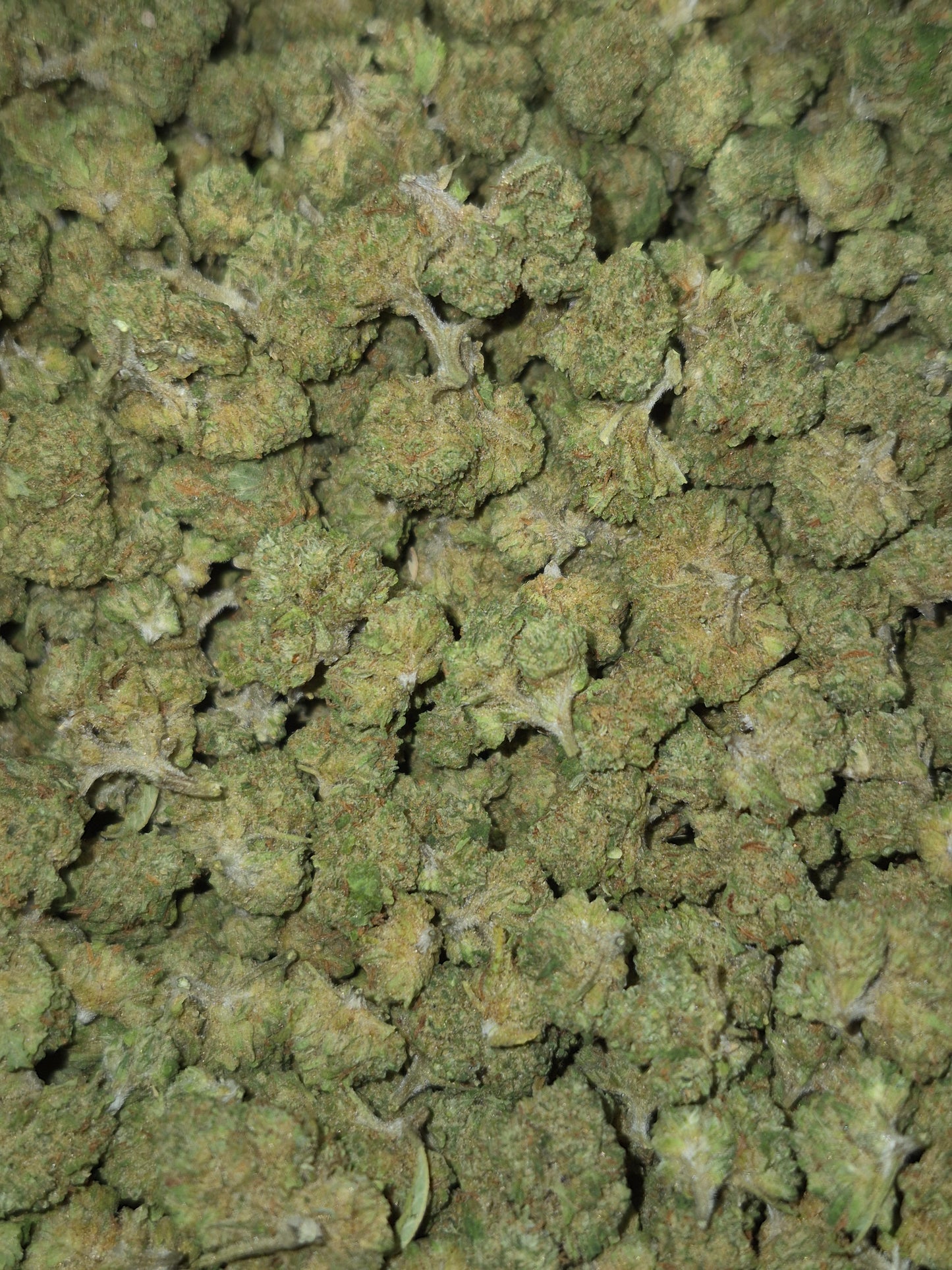 FLEUR CBD - SKITTLES CALI - INDOOR -