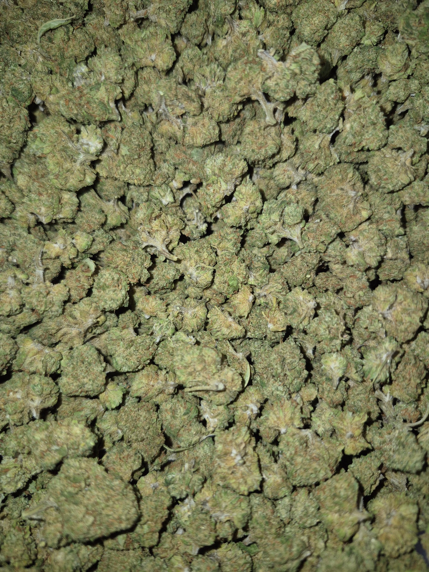 FLEUR CBD - SKITTLES CALI - INDOOR -