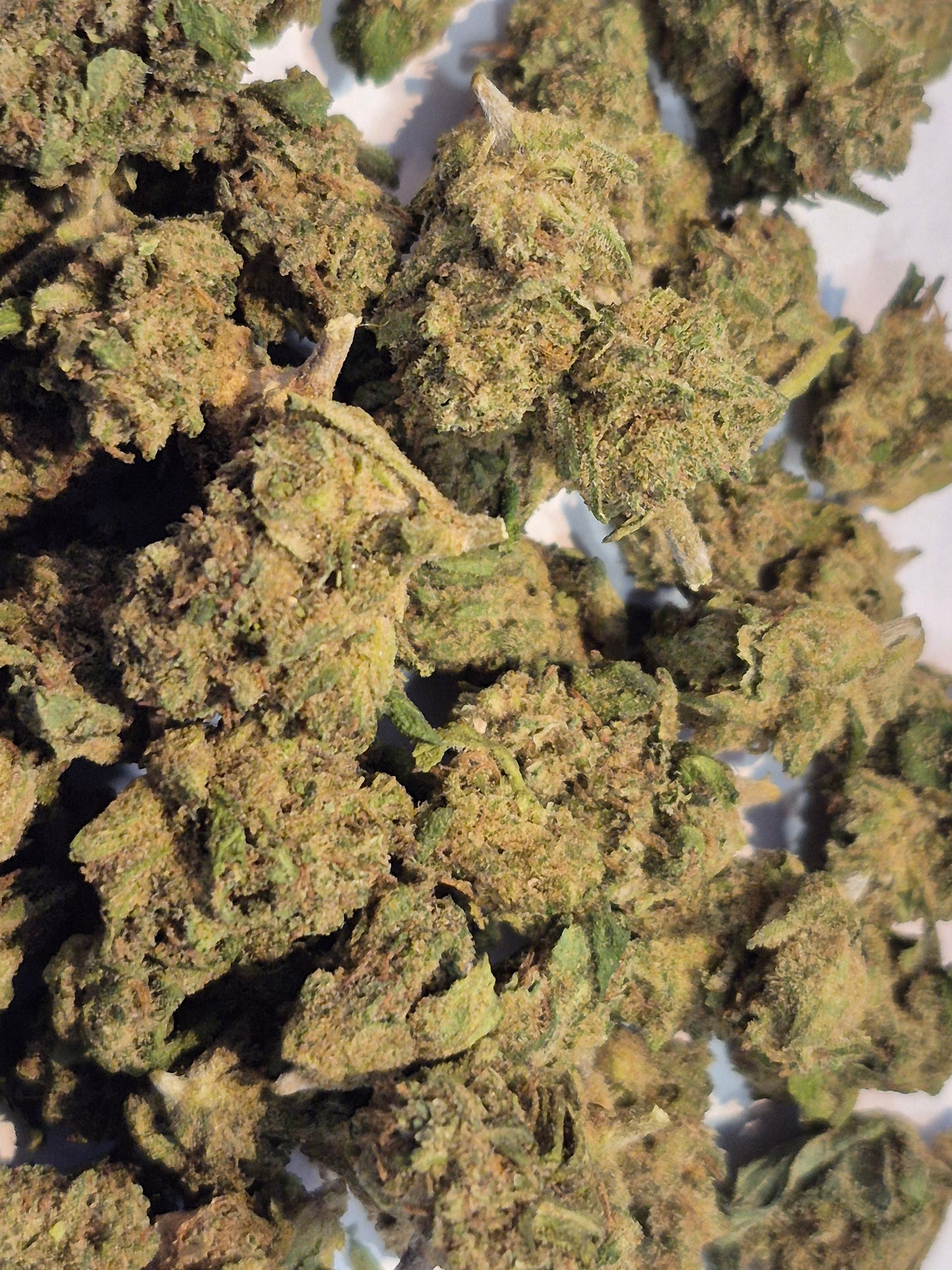 Fleurs CBD premium - Lemon - small bud - indoor