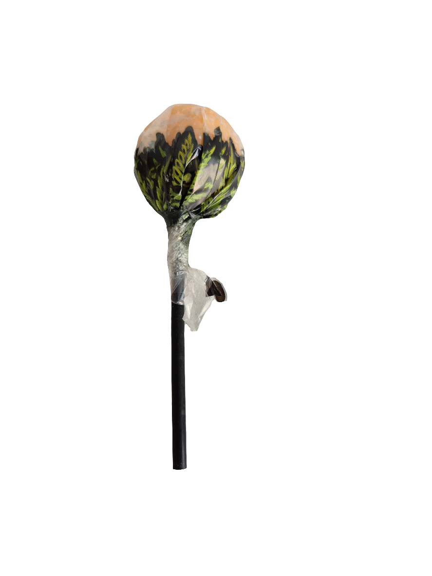 BUBBLY BILLY - SUCETTE AU CBD ET AU CHEWING-GUM" PÊCHE ACIDULÉE " 10mg CBD- 20% CBD
