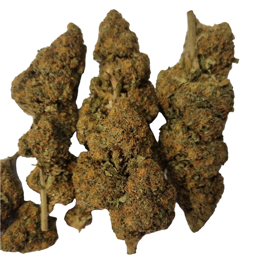 FLEURS CBD - GORILLA MANDARINE - INDOOR - CULTURE INDOOR - 