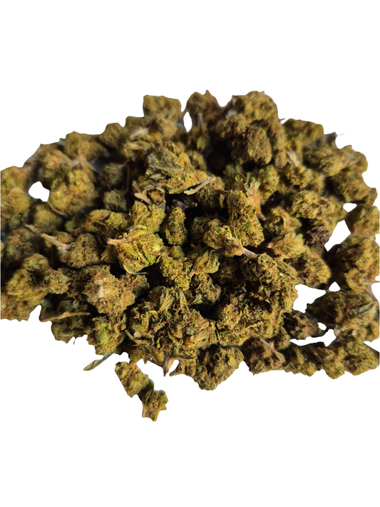 Fleurs CBD - Plutonium - green house - Produit en France- culture française - small bud - Jack CBD - pas cher - bonne qualité 