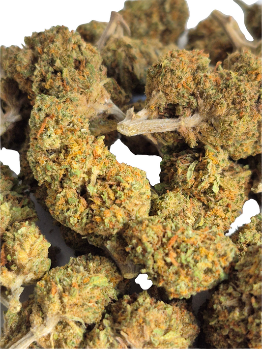 FLEUR CBD - Blueberry « Glass House »