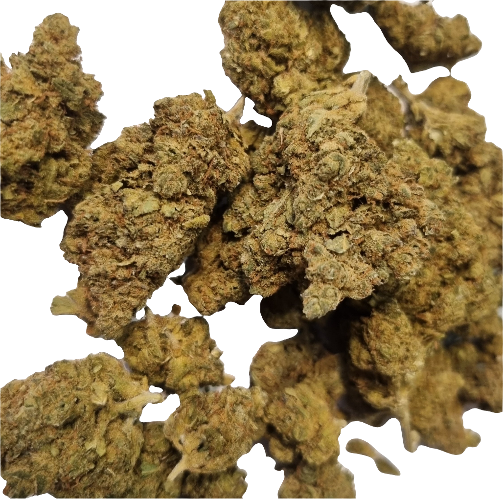 FLEURS CBD INDOOR - JUNGLE CAKE - ICE CREAM - CBD - INDOOR - CULTURE INTÉRIEUR- 